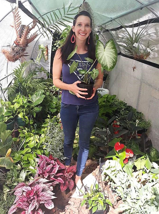 Carolyn Ashmore - Atrium Plants | ecomafrica.org